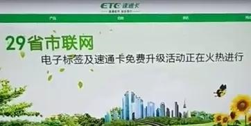 服务项目 第247页