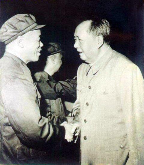 进海南岛最新情况,进海南岛最新情况,巷弄深处的独特风味