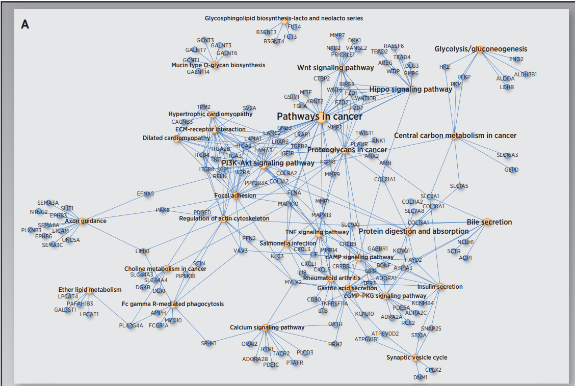 新澳今晚开奖结果查询,数据整合解析计划_掌中宝20.550