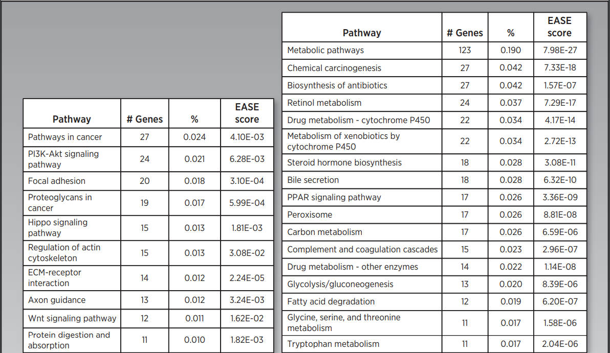 新澳今晚开奖结果查询,数据整合解析计划_掌中宝20.550