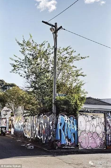 新澳天天开奖资料大全最新开奖结果查询下载,动态解读分析_艺术版2.756