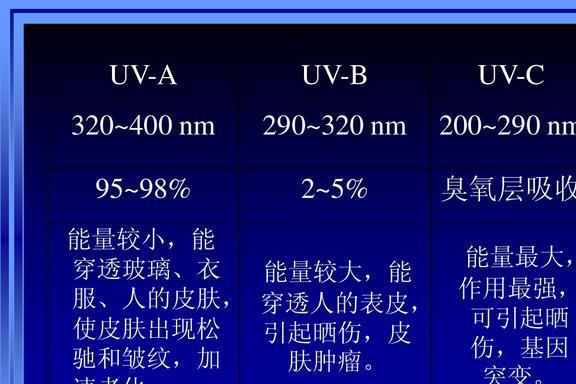 新澳门今晚开特马开,科学解释分析_声学版85.841