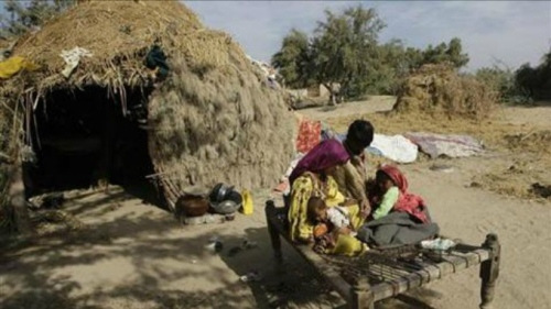 巴西斯坦疫情最新动态，变化中的力量与学习带来的自信与成就感