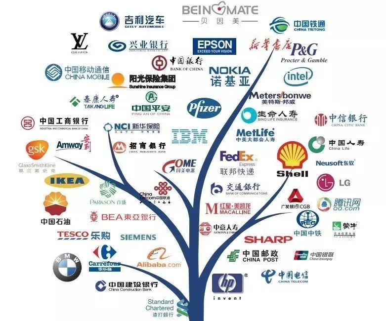 澳门三肖三淮100淮,高效运行支持_实用版79.412