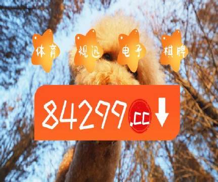 澳门天天好挂牌正版,稳固执行方案计划_任务版93.423