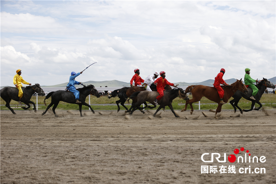 澳门王中王100%期期准确,数据整合决策_安全版39.494