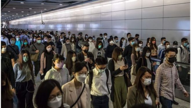 22日香港疫情最新情况,香港疫情最新情况下的自然之旅,寻找内心的宁静与乐趣