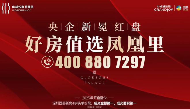 新能凤凰,小巷中的美食宝藏揭秘