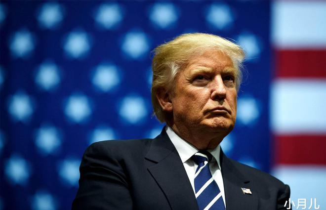 拜登特朗普最新支持引领科技新浪潮,前所未有的高科技产品体验热潮