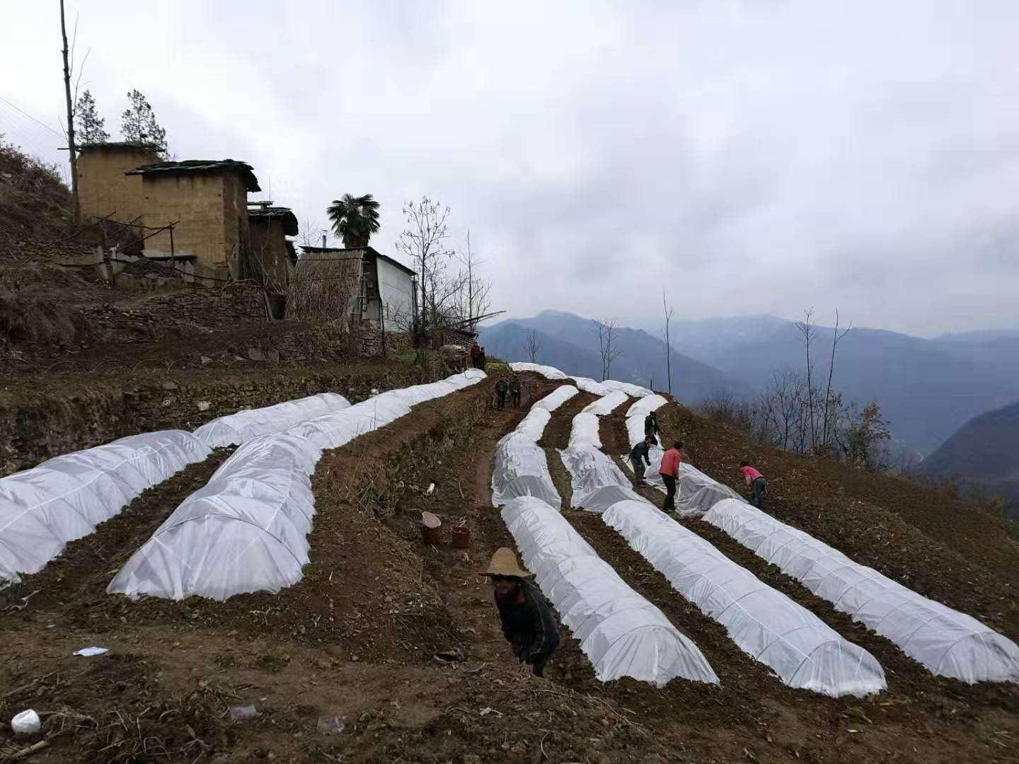 疫情最新动态下的返乡之路，欢笑与温情相伴的归途