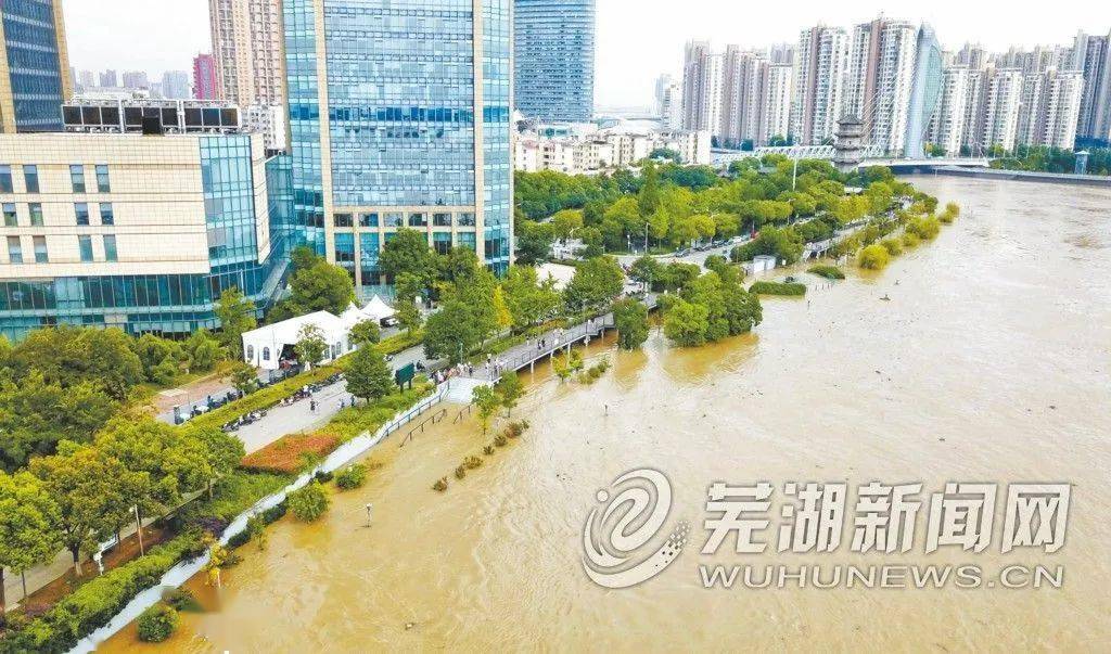 芜湖水位最新动态,自然美景的探索之旅