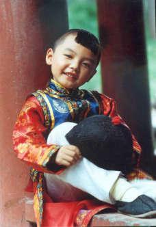 电影淘淘，光影世界的探索之旅