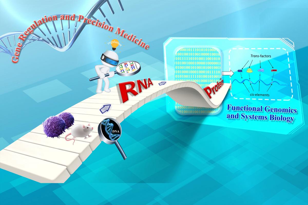 前沿基因科技深度解析，科技发展与观点阐述