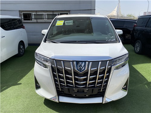 阿尔法价格，一场温馨的购物探索之旅