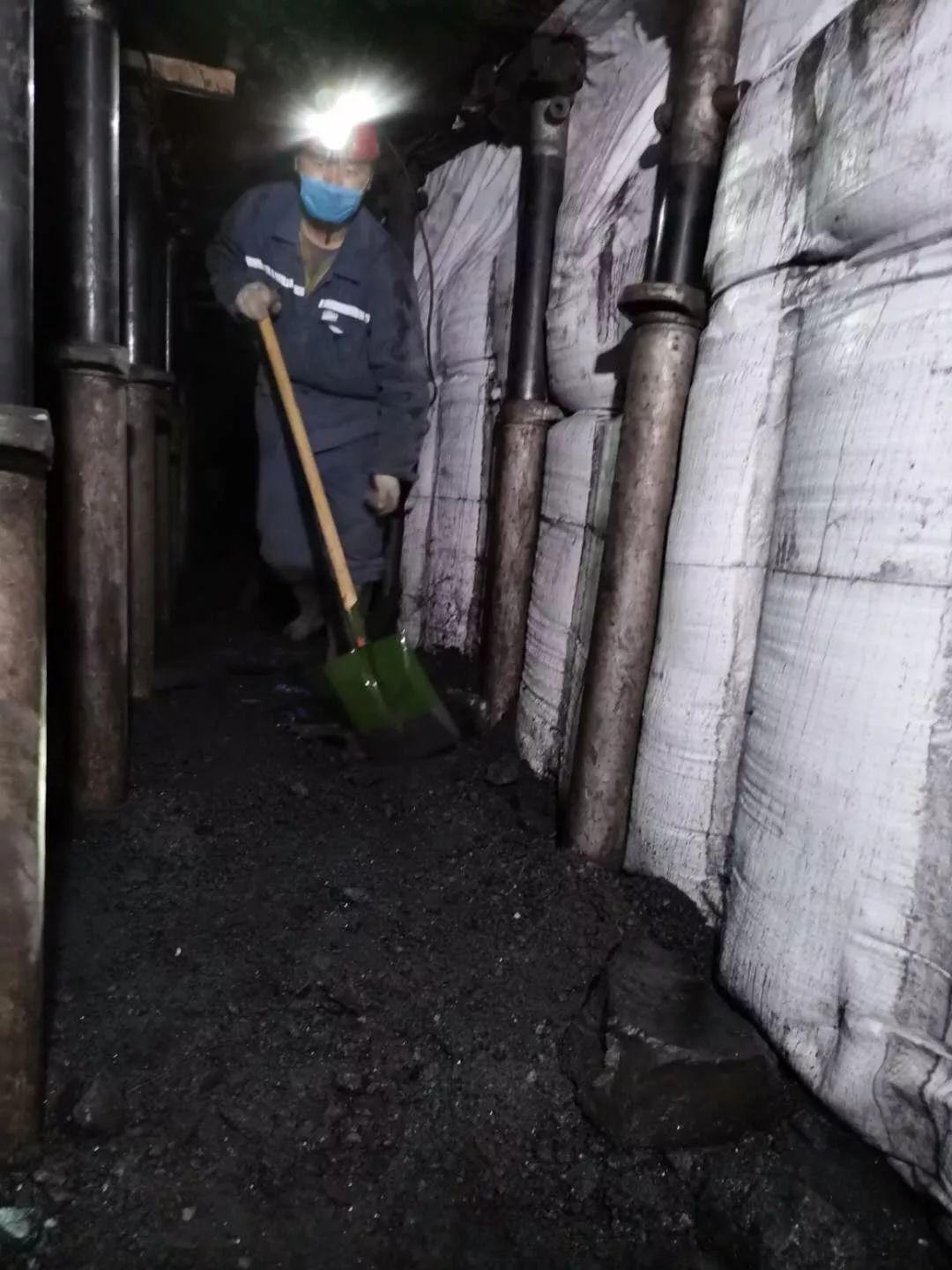 探索矿业领域新篇章，最新矿业项目启动