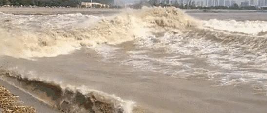 28号台风最新动态,28号台风来袭,小巷深处的独特风情与隐藏的美食宝藏