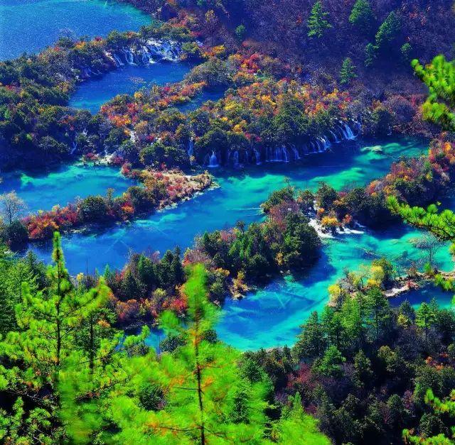 九寨沟地震最新伤亡情况及独特小巷的神秘小店揭秘