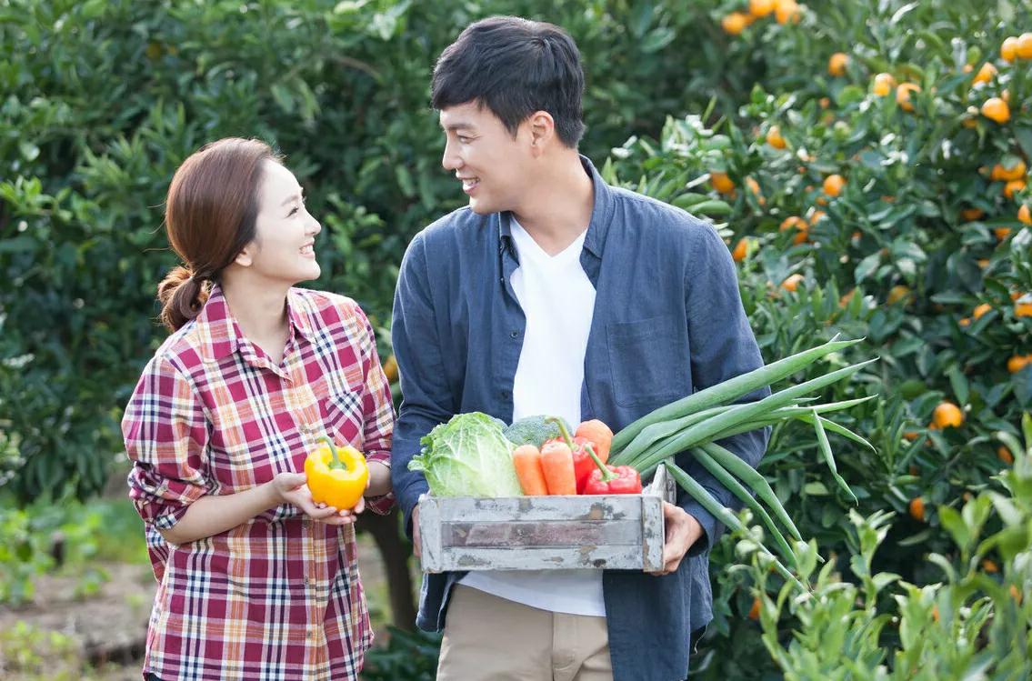 翠兰的爱情电视剧全集，情感与生活交织的深度解析