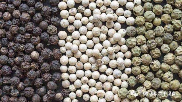 胡椒价格行情最新动态与趋势分析