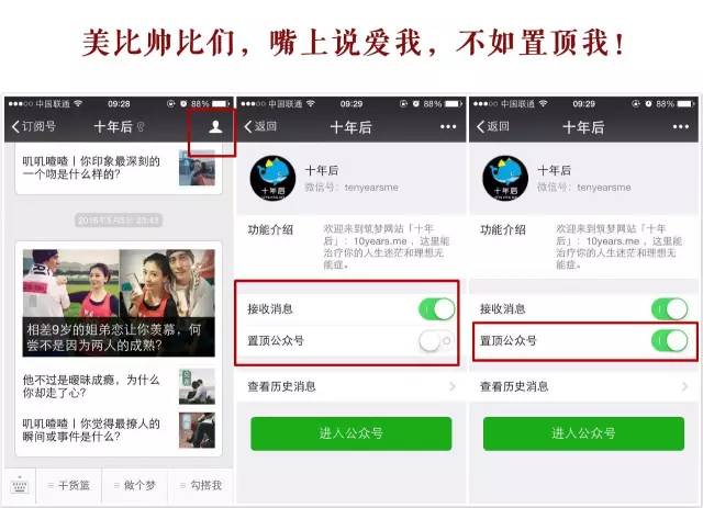 楚洛寒与龙枭,暖阳下的日常趣事最新篇章