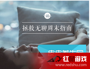 楚洛寒与龙枭,暖阳下的日常趣事最新篇章