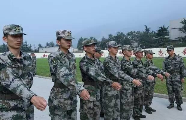 各类运输车辆 第226页