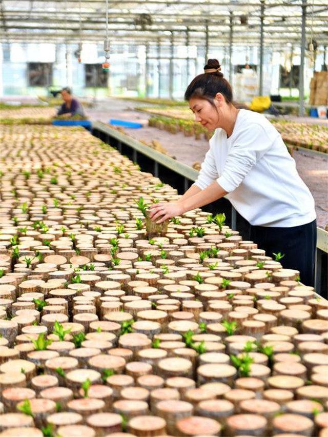 常州疫情最新动态,城市防控进展与应对策略