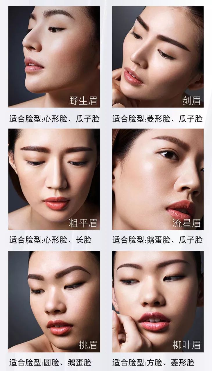 服务案例 第219页