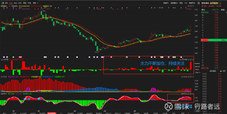 润邦股份股票行情，变化中的机遇，成就感的源泉，投资信心之选