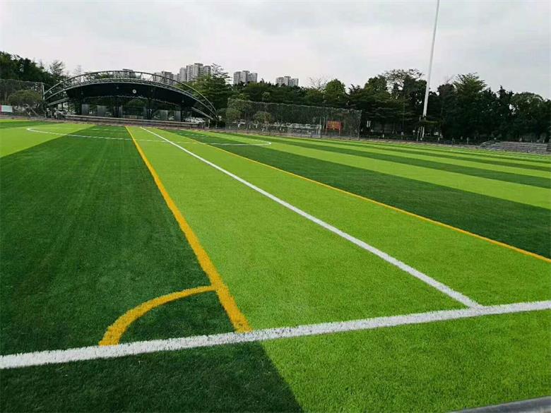 小红书揭秘，人造草坪价格全解析，助你明智选择！