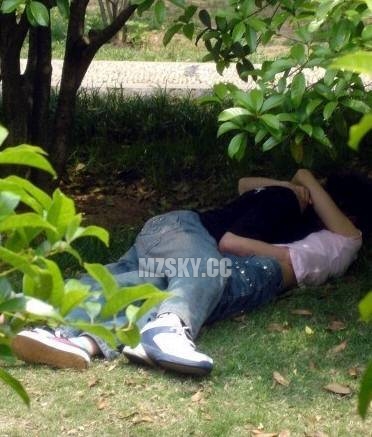 2017年度最新野战视频解析,非涉黄内容的深度探讨与分享。