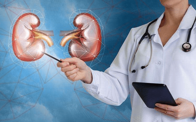 肾囊肿新药重塑健康新纪元,科技之光照亮治疗之路