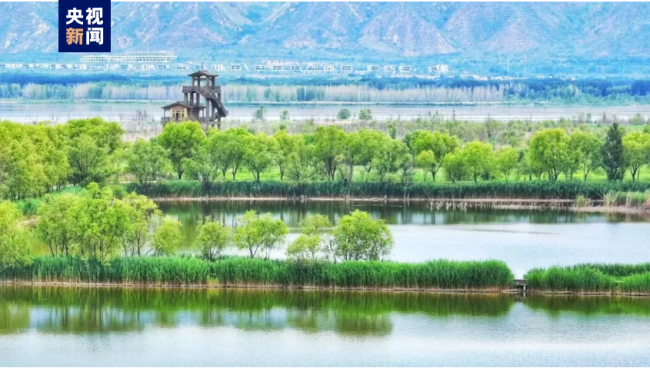 济宁济北森林公园最新资讯,探索自然美景,寻觅内心平静之旅