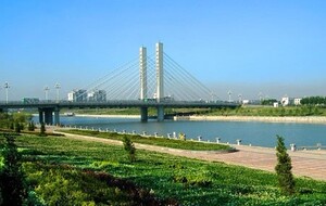 济宁济北森林公园最新资讯,探索自然美景,寻觅内心平静之旅