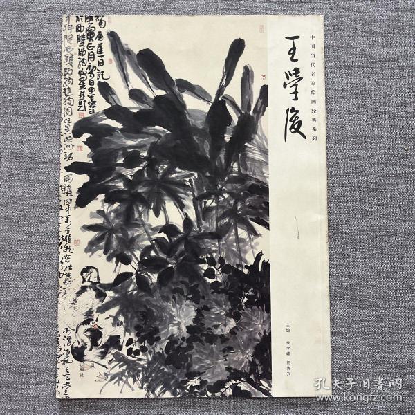 王学境新作,王学境新作学习指南，如何完成某项任务或学习某种技能