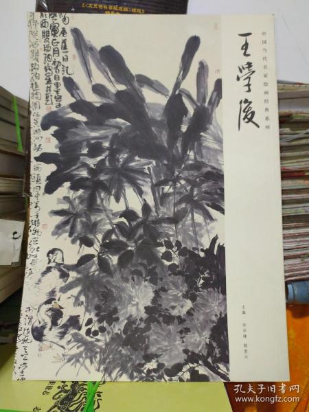 王学境新作,王学境新作学习指南,如何完成某项任务或学习某种技能