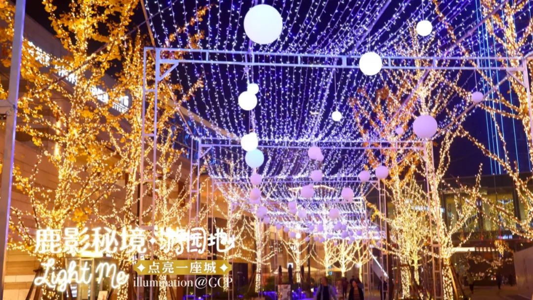 杭州乐堤港最新动态，探索自然美景，寻觅内心平和与宁静之旅