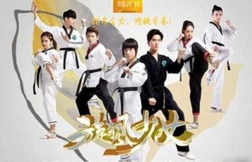 旋风少女3演员表揭秘,青春旋风,情感如初涌动