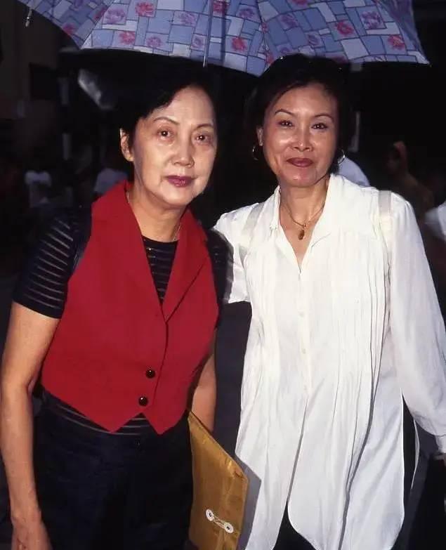 凶猫电影,惊悚与情感的激烈交织