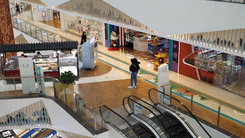 荣晟环保最新动态揭秘，环保行动步骤指南实践解析