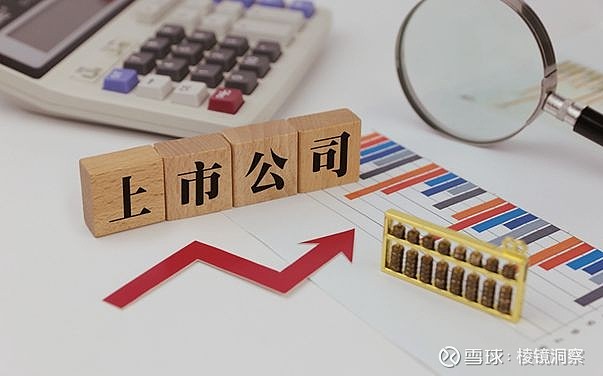 公司上市之路，小企业的冒险与梦想实现之旅