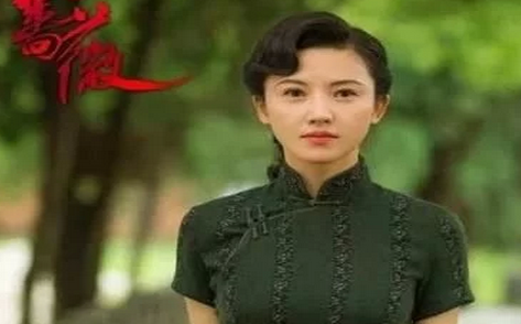 红蔷薇电视剧免费播放,红蔷薇,时代的印记,永恒的情感