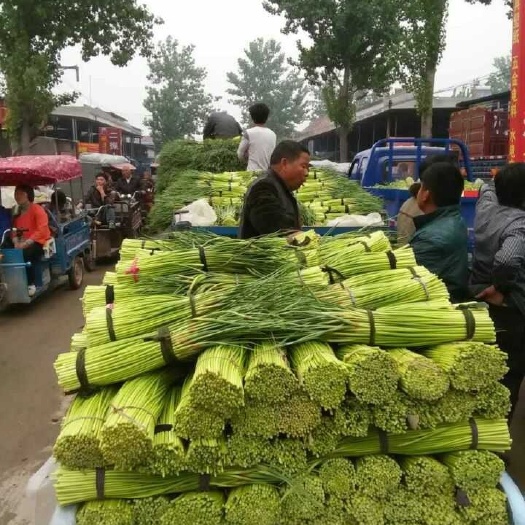 各类运输车辆 第212页