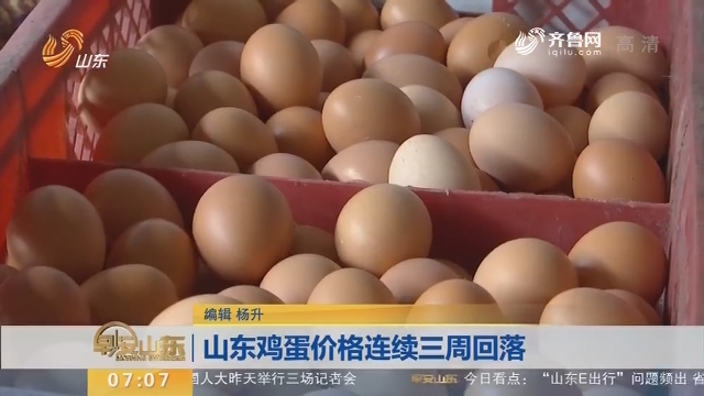山东鸡蛋价格最新动态更新