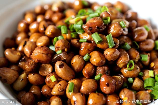 延津县花生米今日行情分析报告