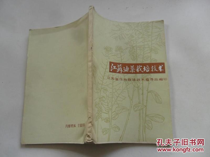 江苏油菜价格动态,绿色之旅探寻内心平静之路