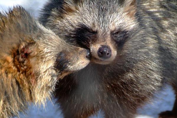 搬家必读 第211页