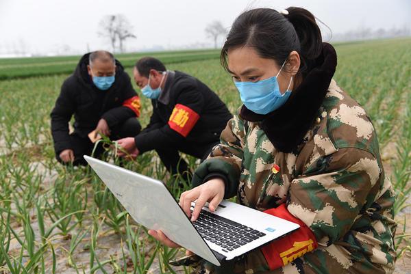 杞县花生价格实时行情详解与论述