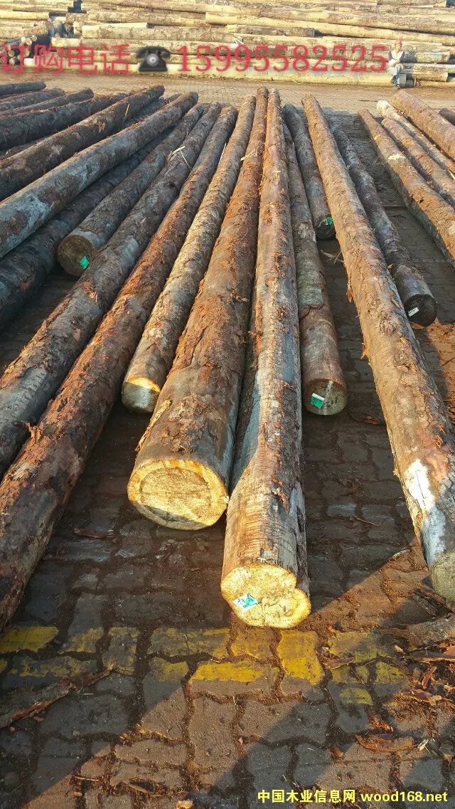 原木价格的历程,背景、影响与特定时代的地位分析