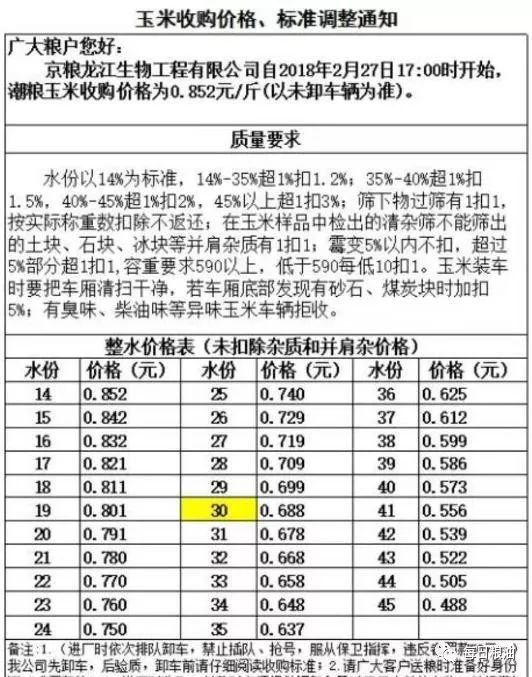 今日玉米收购行情深度分析与观点阐述,价格表概览